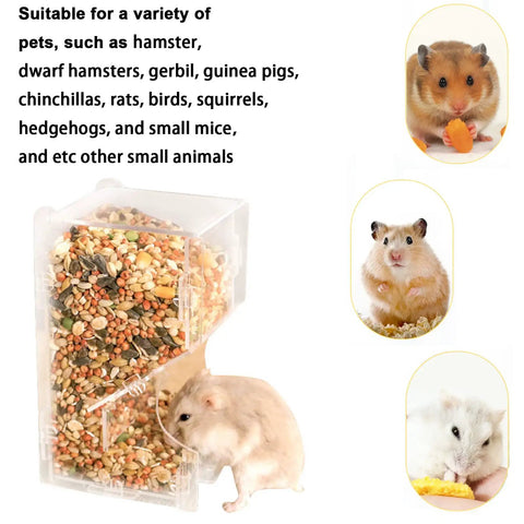 Two Piece Hamster Automatic Feeder Set With Heavy Duty Bracket And Easy Pour Spoons No Drama Small Animal Food Dispenser For Rodents And Little Furballs Definitely A Solid Bet with hamster accessing seeds.