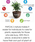 Benefits of Pafcal organic plant sponge chips for indoor and outdoor use, soil replacement, garden decor, nursery pot landscaping, 0.5kg.