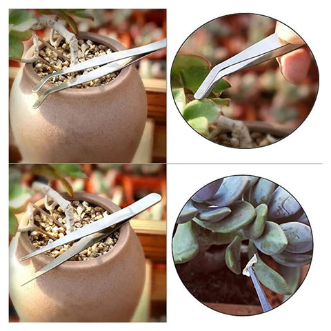 Succulent Planting Tools Set With Watering Pot And Spraying Bottle, 14 Piece All In One Gardening Supplies Kit For Indoor Plant Care And Bonsai Maintenance, Plus Complete Durable Ergonomic Tools For Easy Transplanting And Pruning, metal tweezers in succulent pot