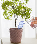 Person watering a plant with Eight Pack Self Watering Spikes For Plants With 60ml Bird Shape Automatic Watering Globes.