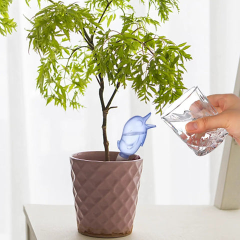 Person watering a plant with Eight Pack Self Watering Spikes For Plants With 60ml Bird Shape Automatic Watering Globes.
