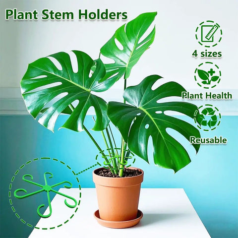 8 Piece Climbing Plant Stem Supports Kit With 4 Sizes Reusable Plastic Garden Stakes For Indoor Outdoor Plants Flower Growth Accessories Stem Holders For Thriving Growth