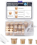 Brass Hex Pipe Plug Fittings Kit With Four Sizes One Eighth Inch One Quarter Inch Three Eighth Inch One Half Inch NPT Male Threaded Plugs In A Durable Storage Box