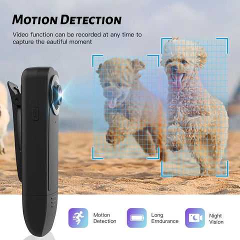 1080P HD Body Camera With Night Vision And 64GB Card displaying motion detection with two dogs running on the beach.