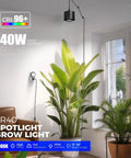 40 Watt Full Spectrum Hanging Plant Lights For Indoors With Adjustable Beam Angles And 5000K Daylight LED Grow Lamps illuminating healthy indoor plants.