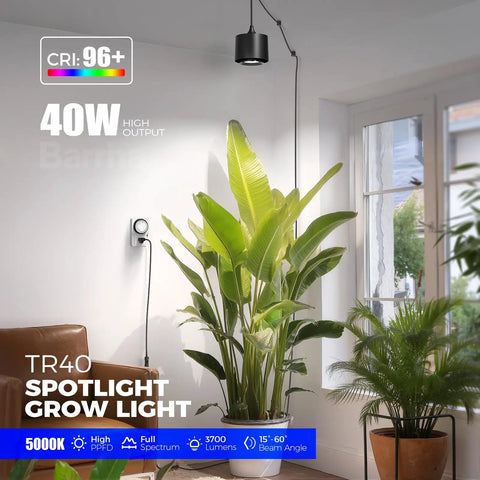40 Watt Full Spectrum Hanging Plant Lights For Indoors With Adjustable Beam Angles And 5000K Daylight LED Grow Lamps illuminating healthy indoor plants.