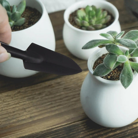 14 Piece Pro Grade Succulent Planting Tools Set With Spray Bottle And Gardening Shovel For Indoor Bonsai Care And Transplanting Black Gardening Supplies Kit For Plant Maintenance, black shovel by potted succulents