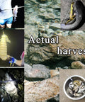 Lightweight Anti Corrosion Speargun For Spearfishing And Harpoon Crabbing Gear actual harvest results