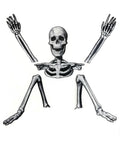 5 Piece Skeleton Ground Breaker Yard Prop Set For Halloween Decorations cardboard skeleton with head, body, arms, and legs