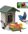 Solar Powered Bird Feeder With Camera For Outdoor Use AI Recognition And Real Time Alerts Wireless Bird House Viewable On Your Phone