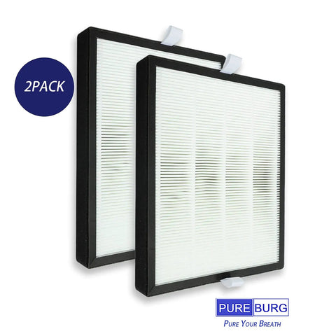 2 Pack Replacement Filter For BS 10 Air Purifier With 3 In 1 H13 True HEPA And Activated Carbon Filtration Removes 99.97 Percent Of PM2.5 Particles Down To 0.3 Microns And Traps Dust And Chemicals, showing two filters in black frames, side by side.