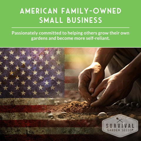 Hands planting seeds with American flag backdrop, highlighting Indoors Or Outdoors Vegetable Seed Kit With 20 Heirloom Non GMO Varieties.