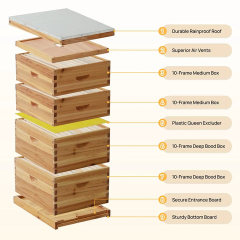 Exploded view of 10 Frame Langstroth Beehive With 100 Percent Beeswax Coating Includes Frames And Foundations In Two Deep Boxes