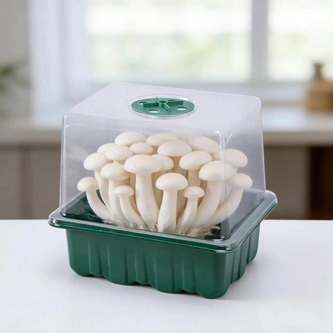 4 Pack Monotub Mushroom Growing Kit For Home Cultivation With 6.5 By 5 By 6.5 Inch Boxes And Included Spray Bottle Rotatable Top Design