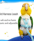 Parrot wearing blue Parrot Bird Harness Leash For Outdoor Training Adjustable Flying Harness With Durable Nylon Anti Chew Front Chain
