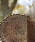 132 Inch Sawmill Bandsaw Blades 5 Pack DoubleHard 10 Degree All Purpose Hook Angle cutting through log for sawmills
