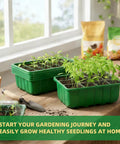 5 Pack Seed Starter Trays With Humidity Domes And Base indoors, green seedlings growing, gardening tools, and plant labels visible