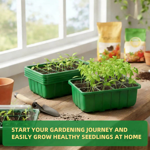 5 Pack Seed Starter Trays With Humidity Domes And Base indoors, green seedlings growing, gardening tools, and plant labels visible