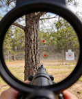 View through scope of Heavy Duty 3 Pack Spinning Shooting Targets For BB Guns And Air Rifles With Auto Reset 360 Degree Spin Bird Target