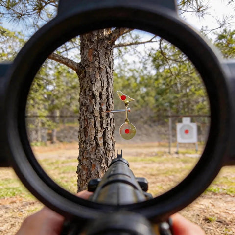 View through scope of Heavy Duty 3 Pack Spinning Shooting Targets For BB Guns And Air Rifles With Auto Reset 360 Degree Spin Bird Target