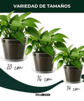 Reusable Flexible Seedling Pots Set Of 10 With Drip Tray, Durable PET Plant Starters For Outdoor Garden, three sizes shown