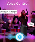 Group in kitchen using Alexa to control Smart Candelabra LED E12 Bulbs 4 Pack With HomeKit And WiFi Dimmable Chandelier Lights