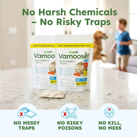 Vamoose Plus Peppermint Oil Mouse Repellent Pouches on countertop, natural pest control solution for homes.