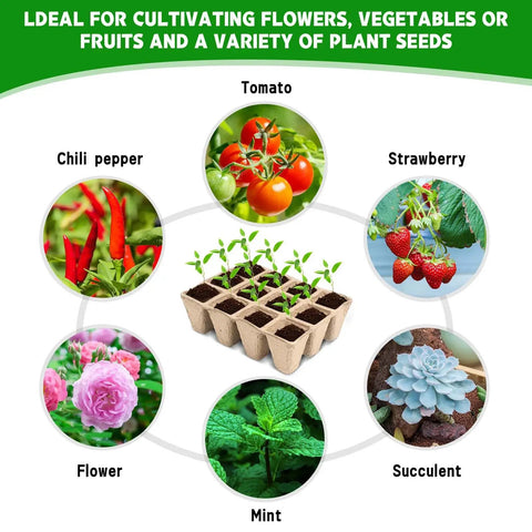 Biodegradable Seed Starter Tray Kit With 120 Cell Trays Ten Pack Seedling Pots for various plants including tomatoes and strawberries.
