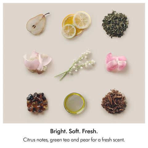 Citrus slices, pear slice, tea leaves, petals, and essential oil highlights ingredients in Amino11 Leave-In Scalp Bubble Treatment.