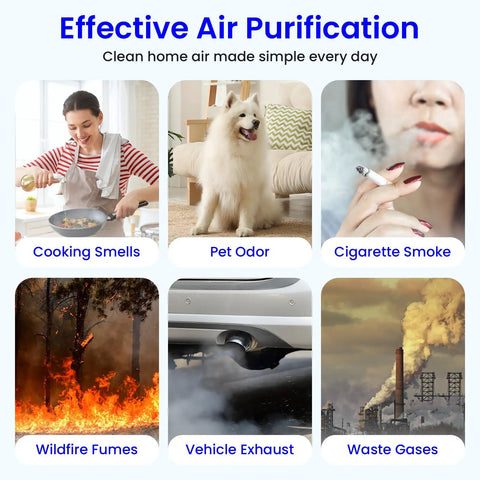 Collage showing sources of air pollution: cooking, pets, smoking, wildfire fumes, vehicle exhaust, and waste gases.