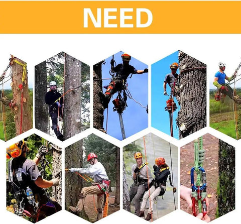 Arborists using 2 Pack Steel Wire Core Flipline Kit 1/2 Inch By 8 Feet For Tree Climbing Lanyard on various trees