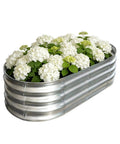 Galvanized Raised Garden Bed 4x2x1ft Planter Box For Vegetables, Fruits, And Flowers with white blooms, silver finish, safe edges.