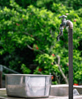 Outdoor tap with metallic sink surrounded by greenery
