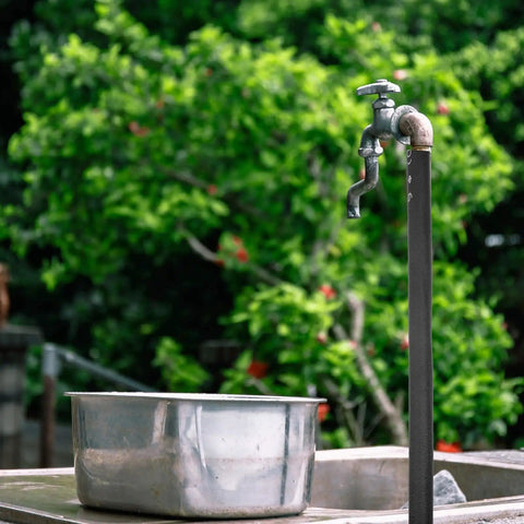 Outdoor tap with metallic sink surrounded by greenery