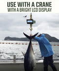 Rock Solid Wireless Crane Scale With 40000 Lb Capacity And Vivid Lcd Panel Plus Broad Signal Remote For Heavy Duty 300 Ft Loads used with a crane to weigh a large fish.