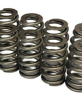 Stage Two Truck Camshaft Upgrade Kit With Genuine Hydraulic Rollers Beehive Springs And Complete Hardware Drop Right Into Your Gm 6.0 Lq4 Lq9 Ls Power Swap Turnkey Shop Ready Built Tough American Made beehive springs close-up view.