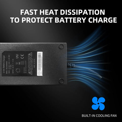 Heavy Hitter 29.4 Volt 6 Amp Forklift Battery Charger For Hella Fast Lithium Ion Charging Compatible With Pallet Trucks And Warehouse Gear Solid Build To Keep Your Team Operating Smooth