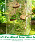 Premium Seven Piece Jumping Spider Habitat Decor Kit Featuring Natural Wood Platforms Cozy Hanging Swing Braided Hemp Rope Bridge And Glitter Webs For Compact Enclosures That Totally Slaps in a terrarium with climbing areas.