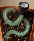 2 In 1 Soil pH And Moisture Meter Plug And Play No Battery Needed Portable Garden Tool, in use in a potted plant