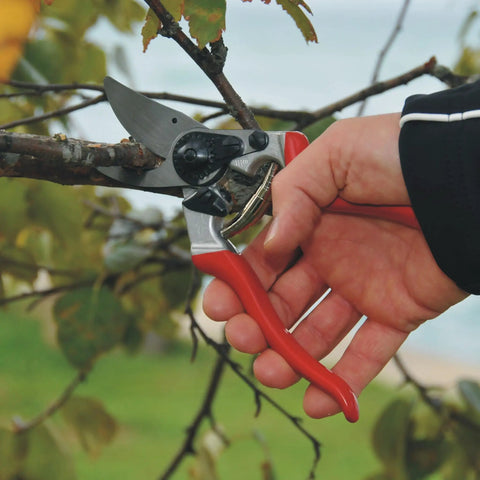 8.3 Inch Pruning Shears With Aluminum Handles, Precision Bypass Blade, 1 Inch Cutting Capacity in use for branch trimming