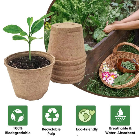 All In One Seedling Starter Kit With Biodegradable Peat Pots Coco Coir Soil Discs And Plant Markers For Easy Seed Germination Indoors Or Outdoors