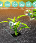 Close-up of the 17 Inch Wide By 50 Feet Long Heavy Duty Landscape Fabric Weed Barrier Woven Geotextile Ground Cover with a plant growing through.