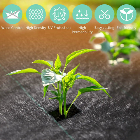 Close-up of the 17 Inch Wide By 50 Feet Long Heavy Duty Landscape Fabric Weed Barrier Woven Geotextile Ground Cover with a plant growing through.
