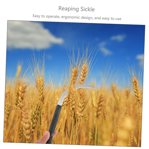 5 Piece Black Gardening Mowing Sickles Set With Ergonomic Non Slip Handles For Easy Weeding And Harvesting in wheat field