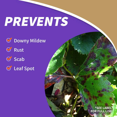 Fruit Tree Spray Concentrate For Organic Gardening Insect And Disease Control protects against mildew, rust, scab, and leaf spot