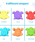Tactile Turtles Math Activity Set for Toddlers and Preschoolers, six turtles, different shapes, colorful design