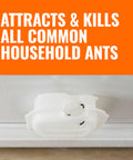 Indoor Liquid Ant Baits With Adhesive Strips For Discreet Baiting That Doubles As An Ant Trap And Bait Station In An 8 Pack Ideal For Quick Fast Acting Control Of Ghost And Pavement Ants In The Home T334SR on a surface with visible ants.