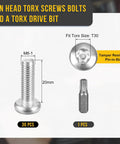 30 Pack M6X20mm Pan Head Torx Security Screws T30 Anti Theft License Plate Mount Stainless Steel with drive bit