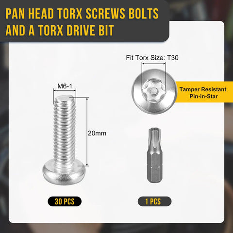 30 Pack M6X20mm Pan Head Torx Security Screws T30 Anti Theft License Plate Mount Stainless Steel with drive bit