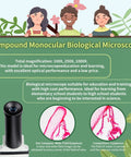 Kid Friendly Microscope Kit For Ages 8 To 12 With Prepared Slides 100X To 1000X Magnification Mechanical Stage Glass Lenses